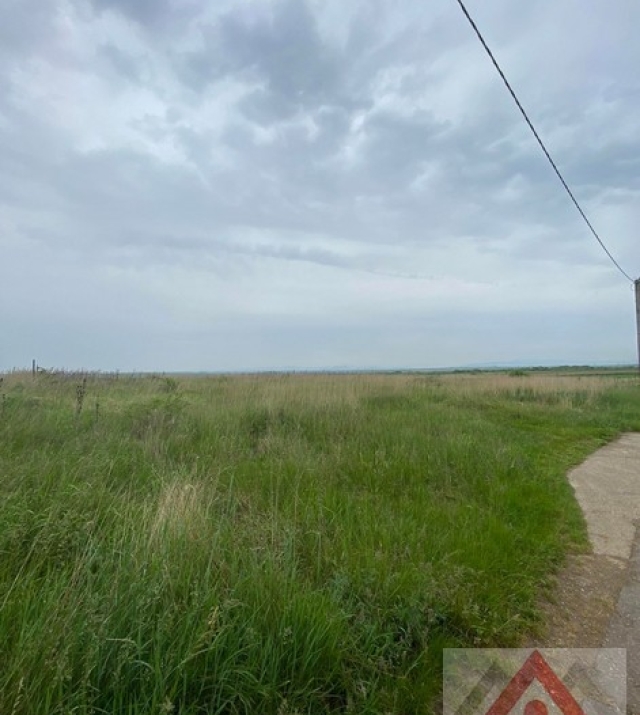 a1050-IntravilanViileSatu Mare03.JPG